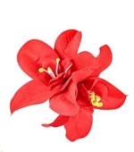 Hårblomst - dobbelt tropisk blomst på hårklips, rød